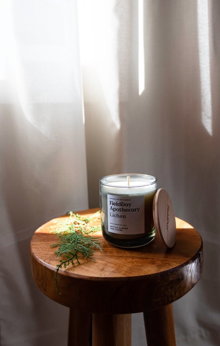 FieldDay Apothecary Candle in Lichen - Thatch Goods